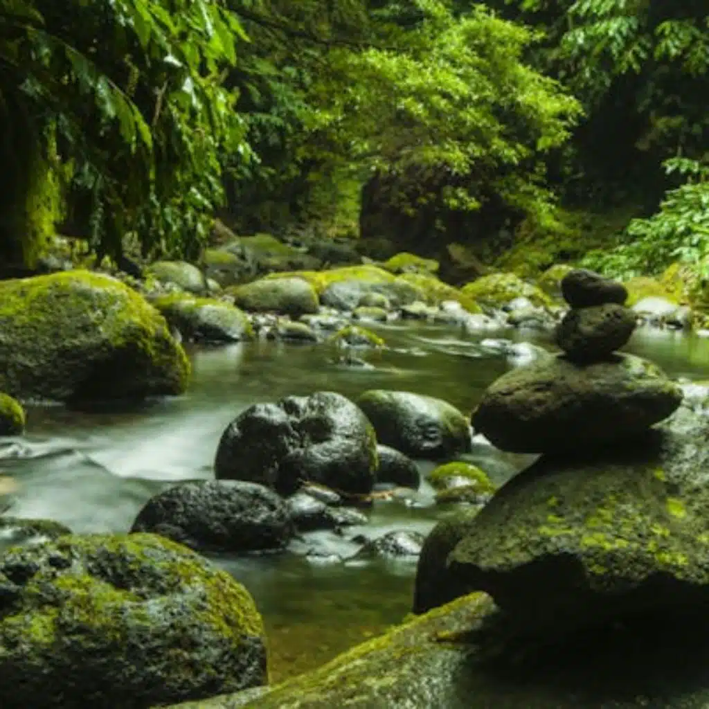 美容院舒缓背景音乐，放松按摩音乐