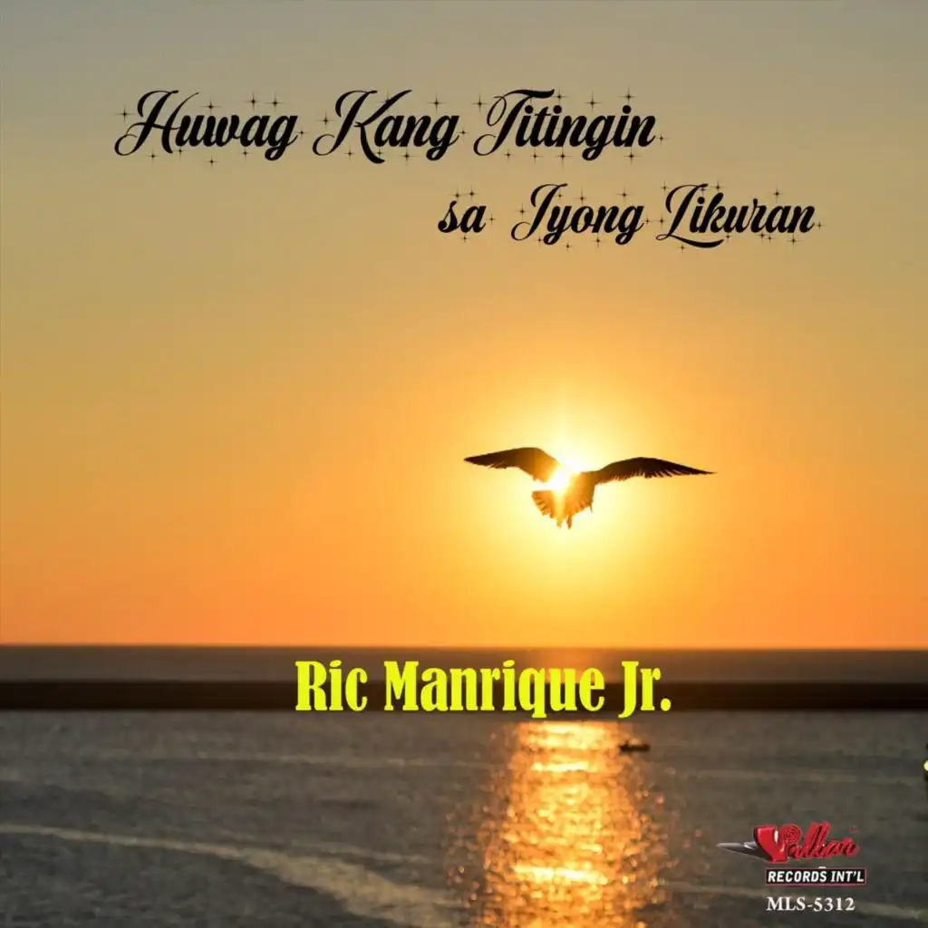 Ric Manrique Jr.