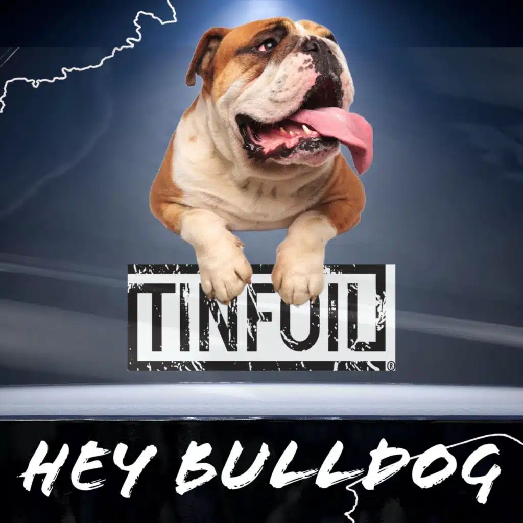 Hey Bulldog