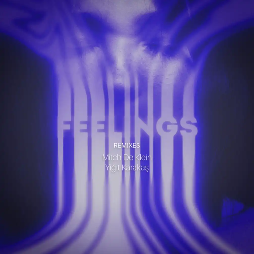 Feelings (Mitch De Klein Remix)