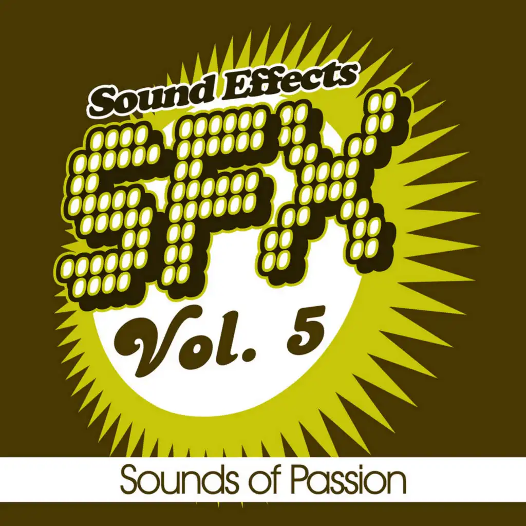 SFX Vol. 5 - Sounds Of Passion