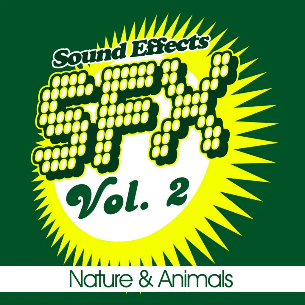 SFX, Vol. 2 - Nature & Animals