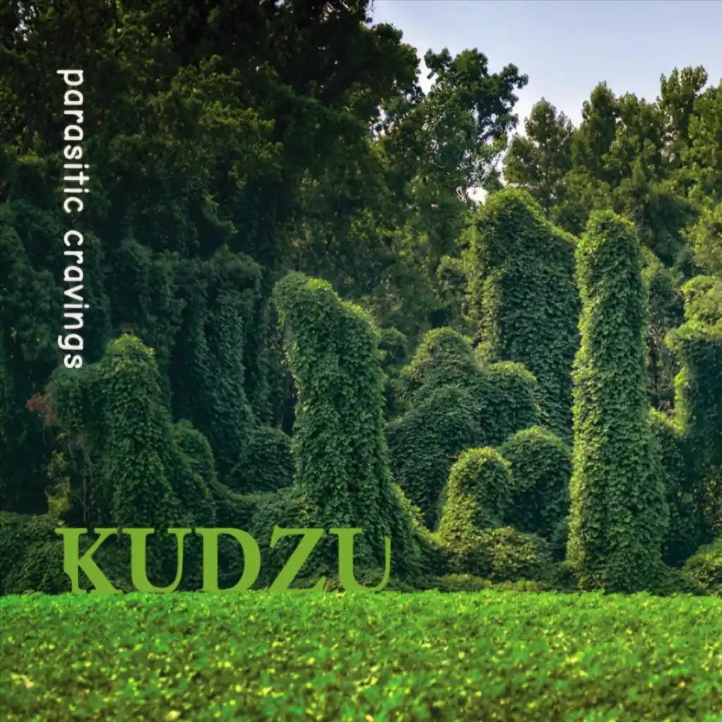 Kudzu