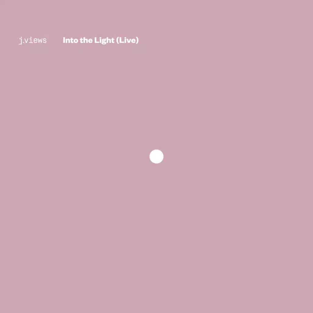 Into the Light - Live (feat. The Revolution Orchestra & Denitia) [Live]