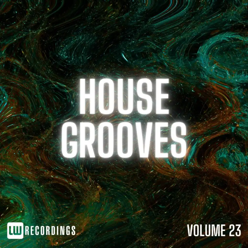 House Grooves, Vol. 23