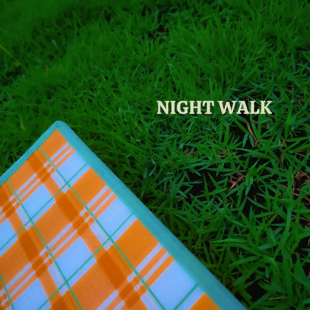 NIGHT WALK (prod. chillingcat)