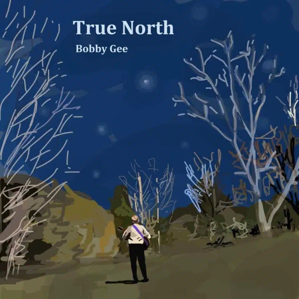 True North