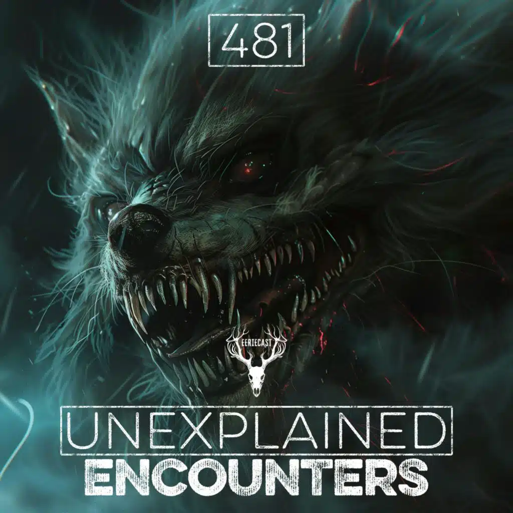 481 | 6 SCARIEST Mimic Encounters I've EVER Heard