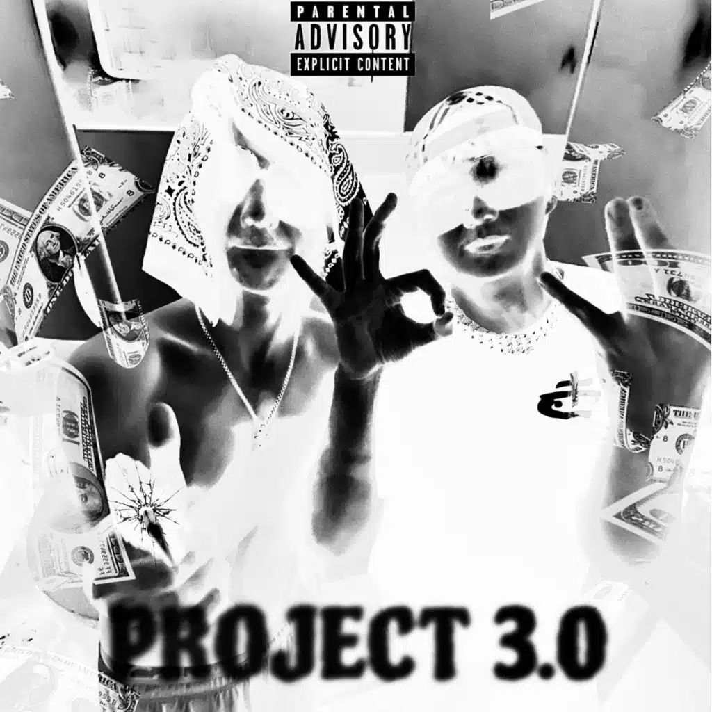 Project 3.0
