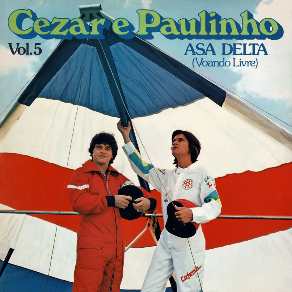 Asa Delta (Voando Livre) - Vol. 5