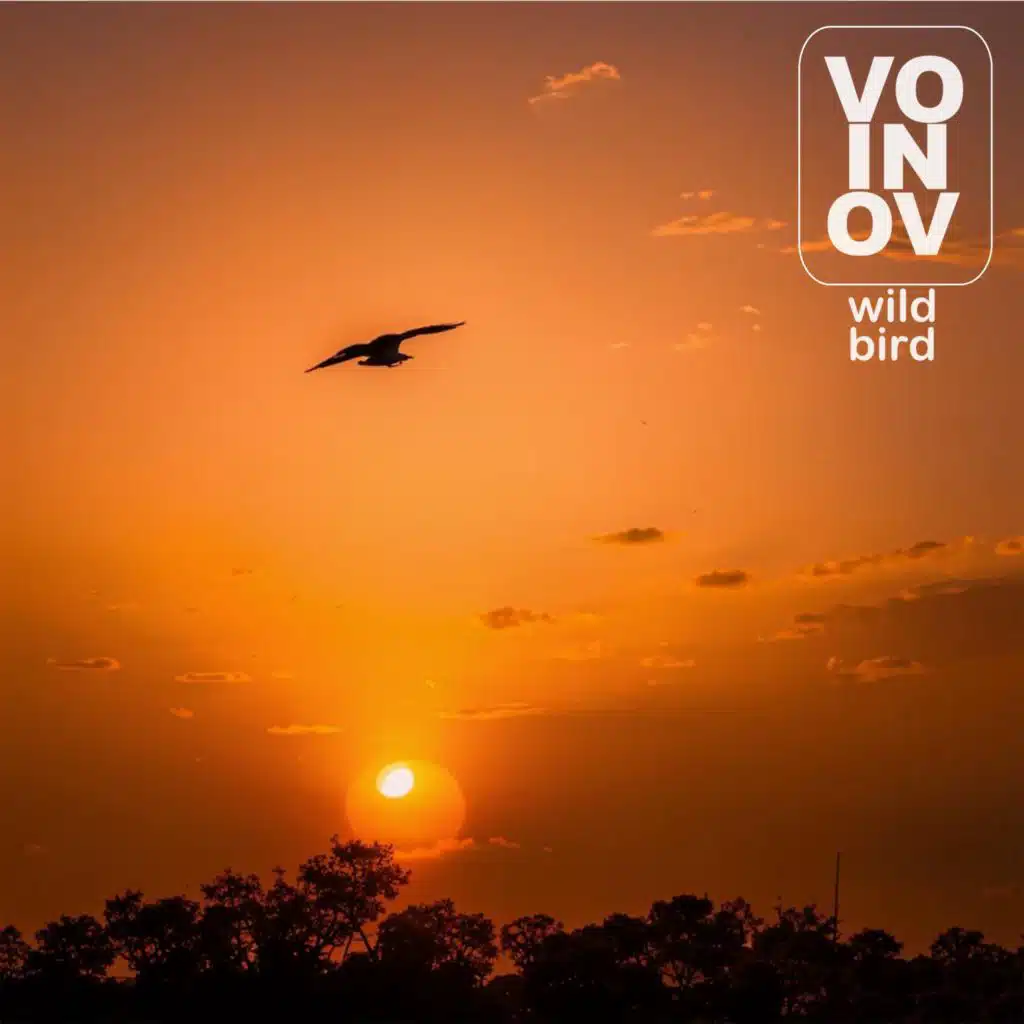 Wild Bird