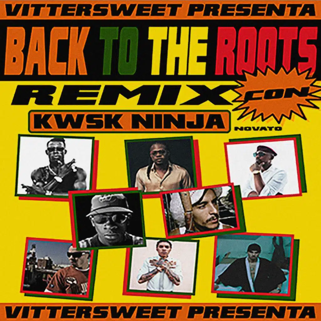 Back To The Roots Rmx (Remix)