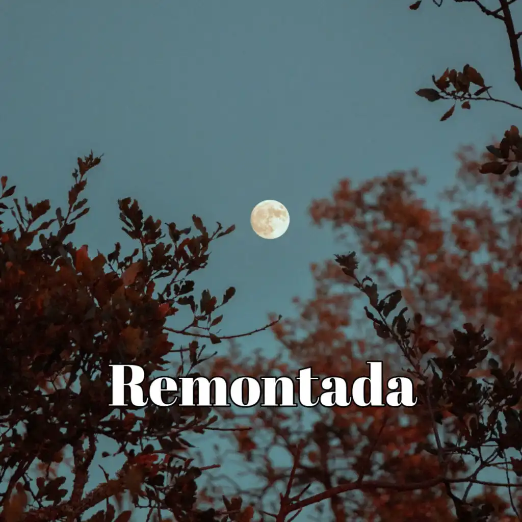 Remontada (feat. Ste Milano)