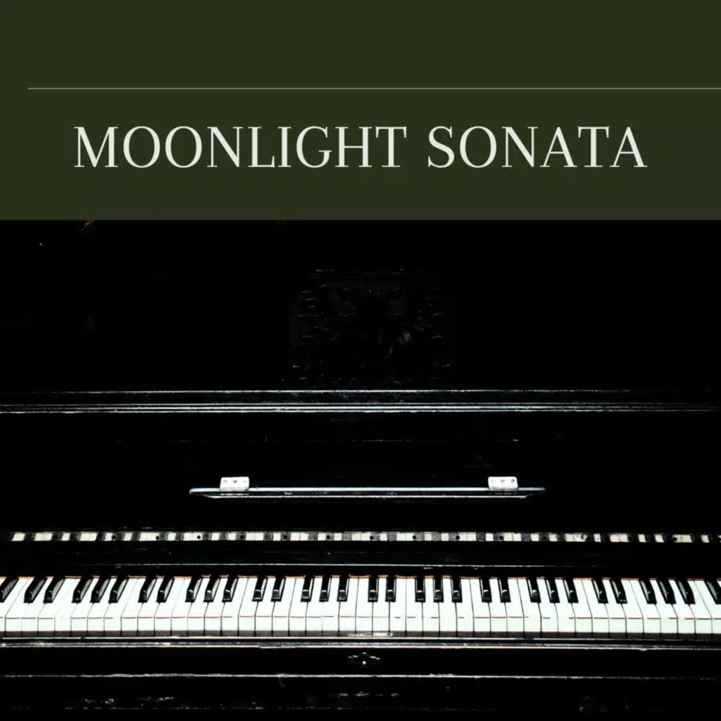Piano Sonata No.17 in D Minor, Op.31 No.2 "The Tempest": III. Allegretto