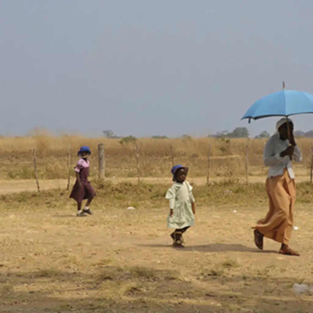 Food Shortages in Southern Africa 2020