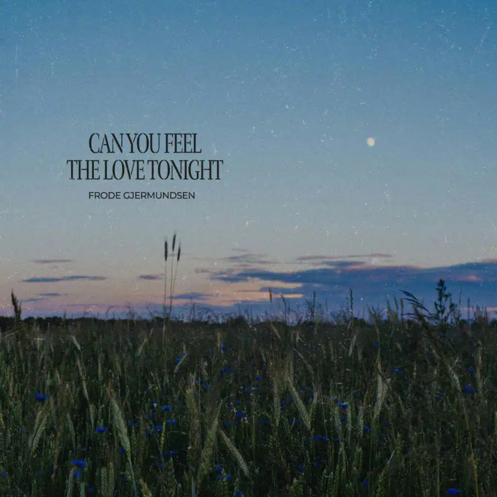 Can You Feel the Love Tonight