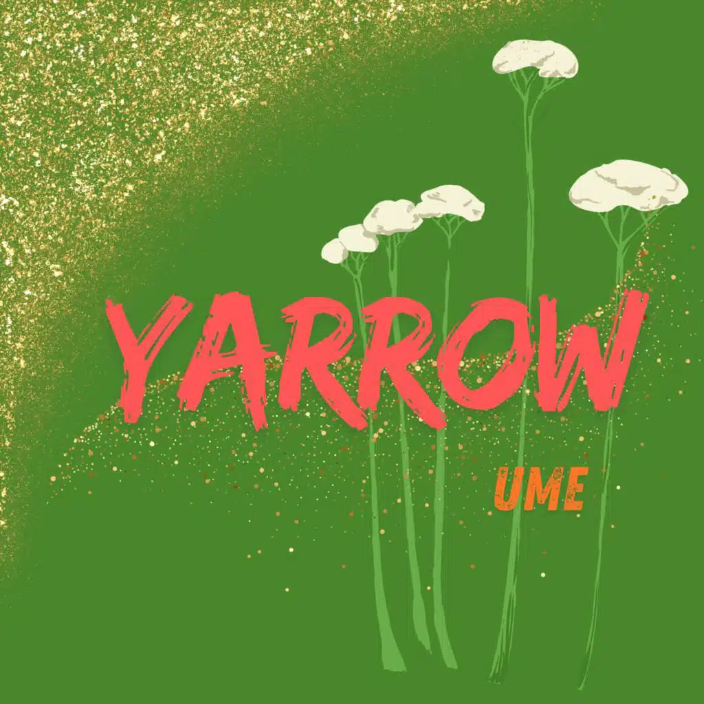 YARROW