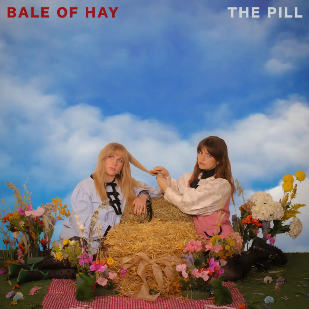 Bale Of Hay