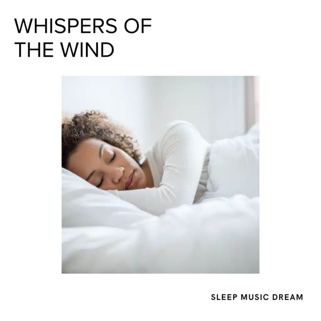 Sleep Music Dream