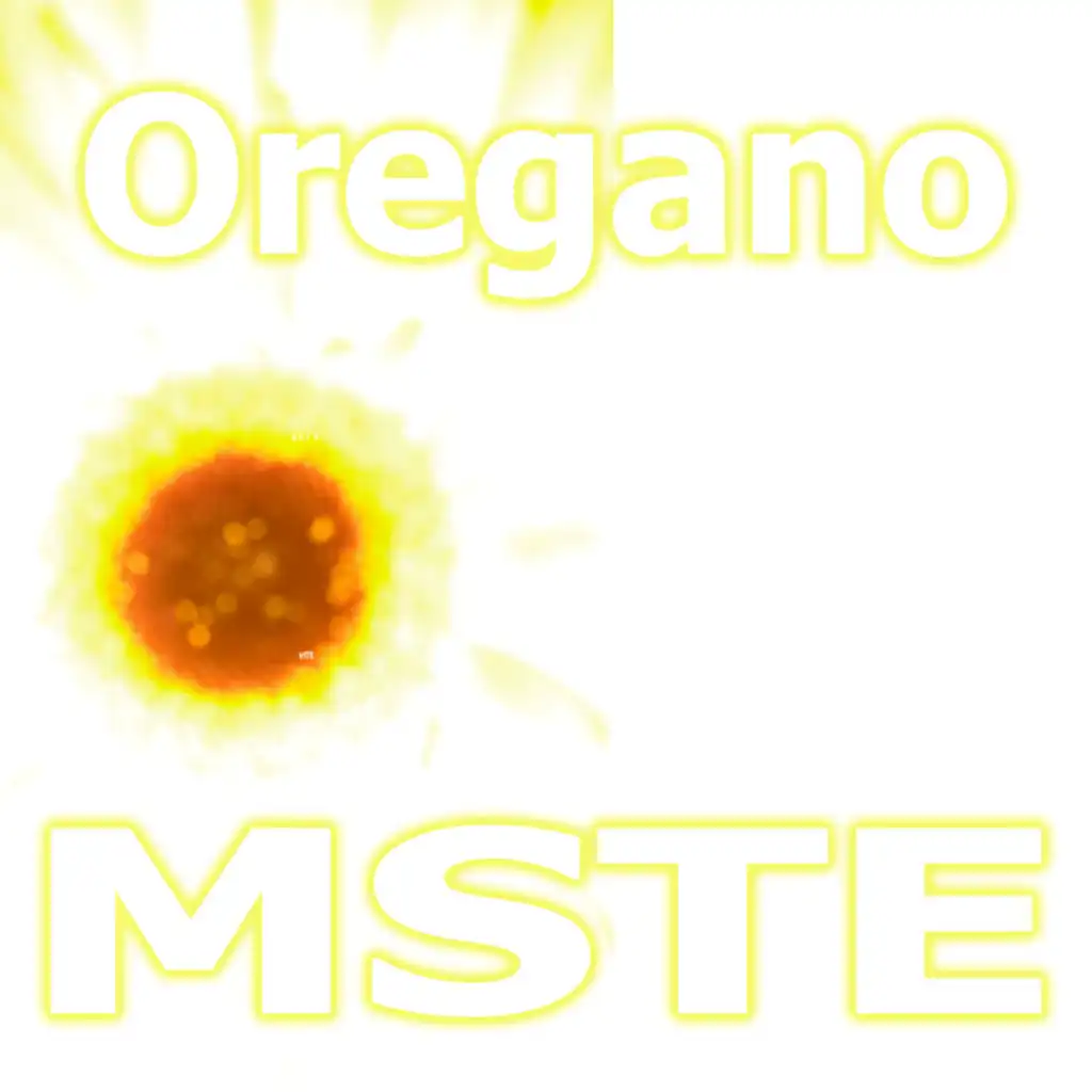 MSTE