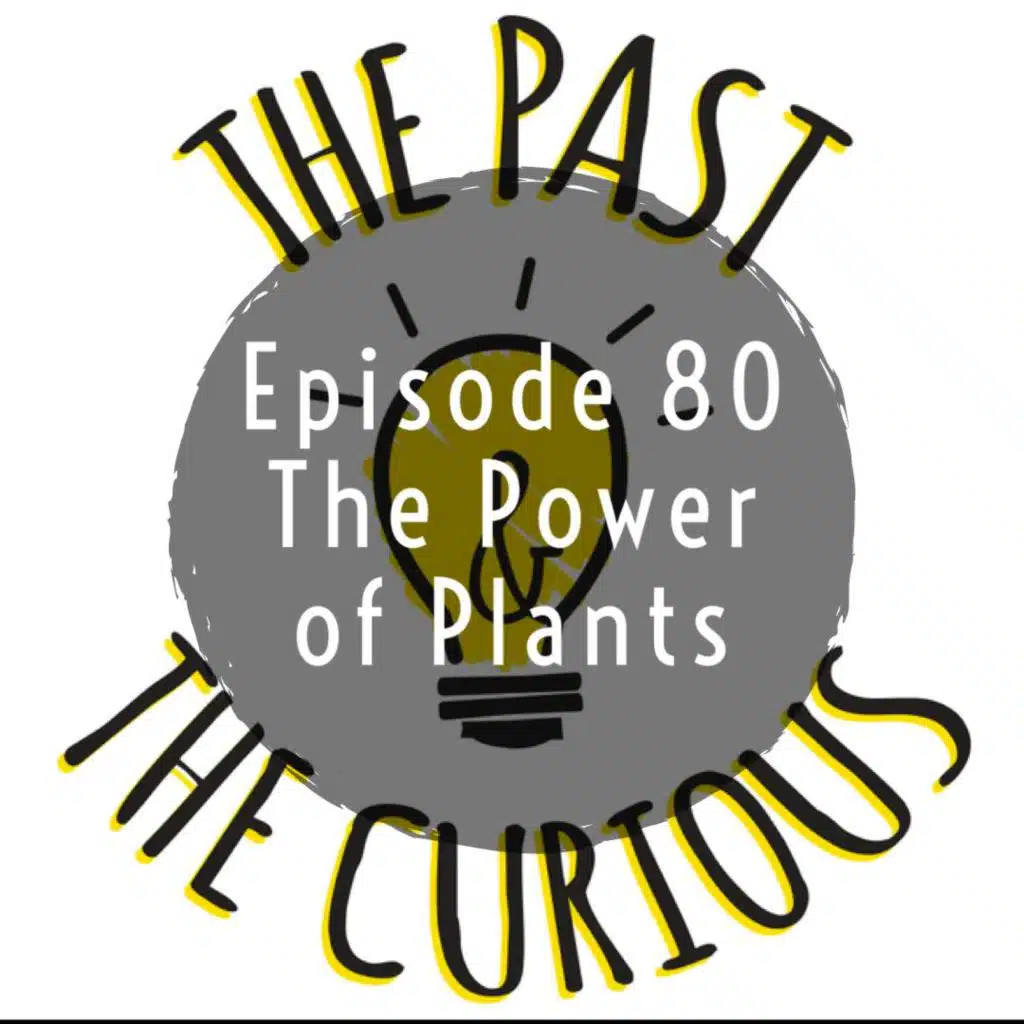 The Power of Plants