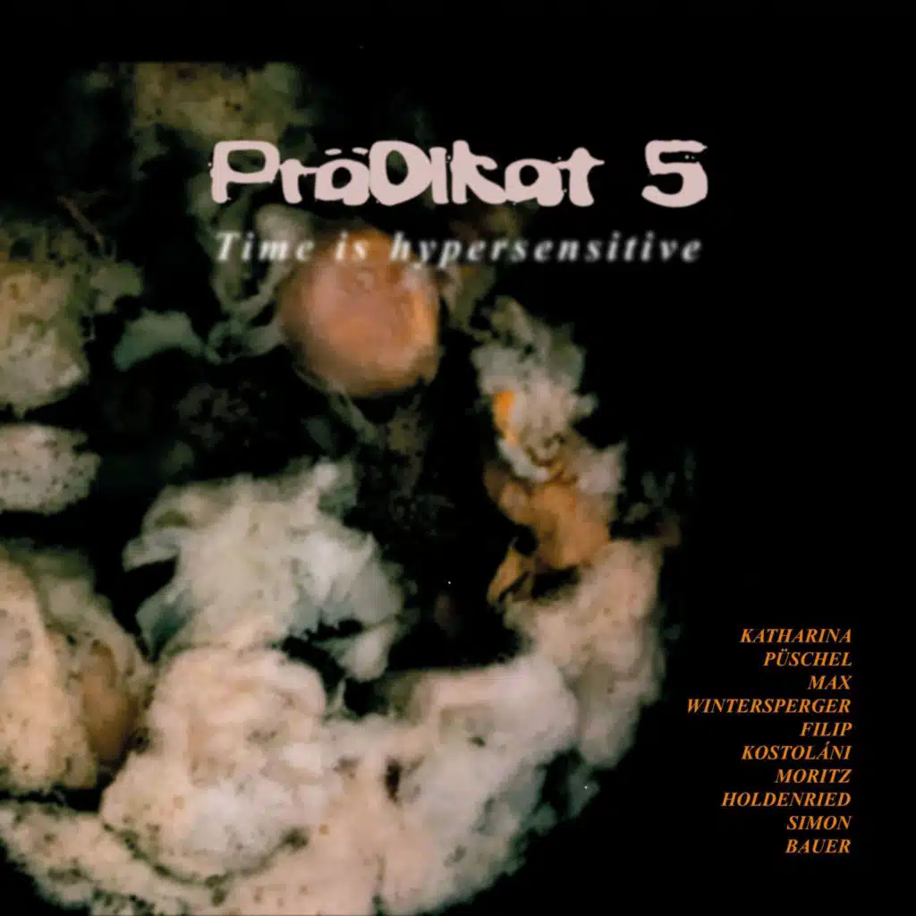 Prädikat 5 - Time Is Hypersensitive (feat. Katharina Püschel, Max Wintersperger, Filip Kostoláni & Moritz Holdenried)
