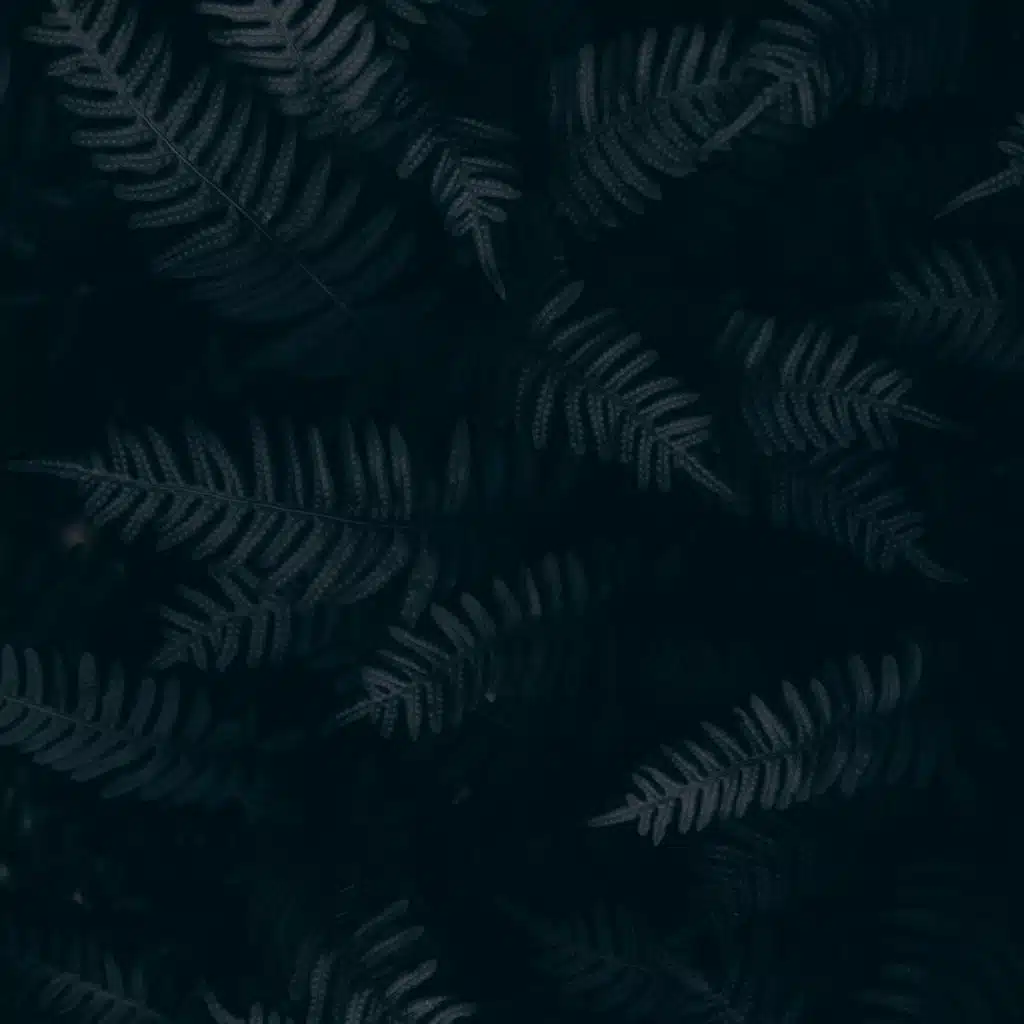 50 Meditation Sounds for Yoga, Zen and Spa