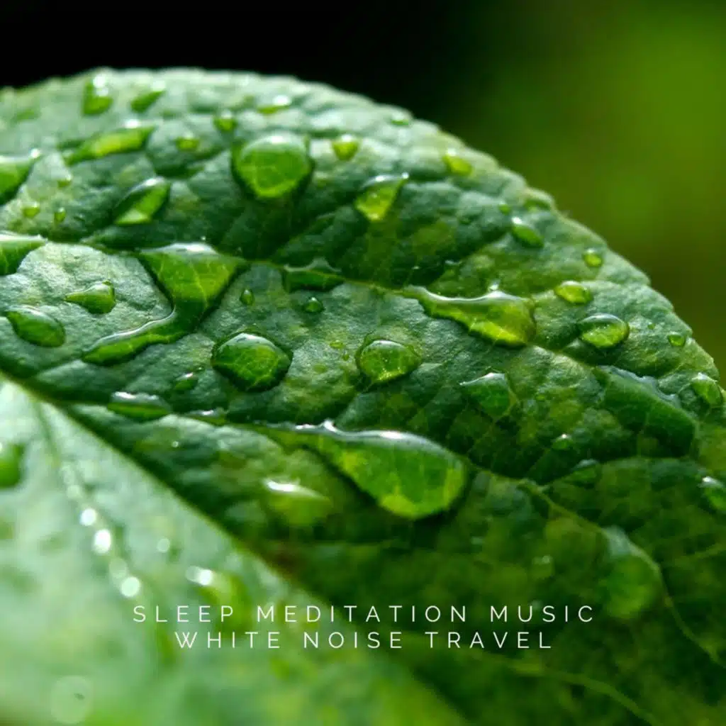 Soothing Rain Sounds Nature's White Noise