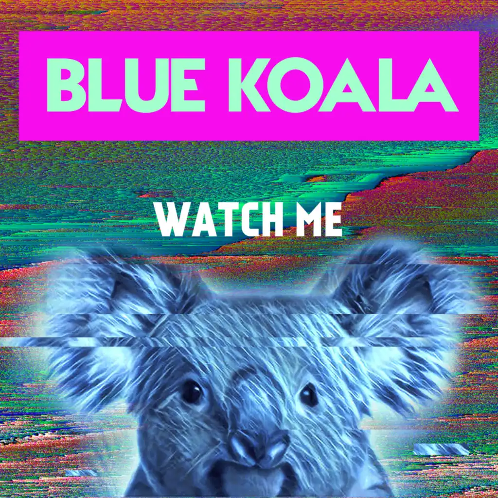 Blue Koala