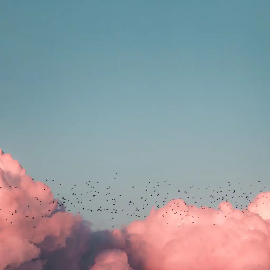 Calm Melodies for Total Relaxation