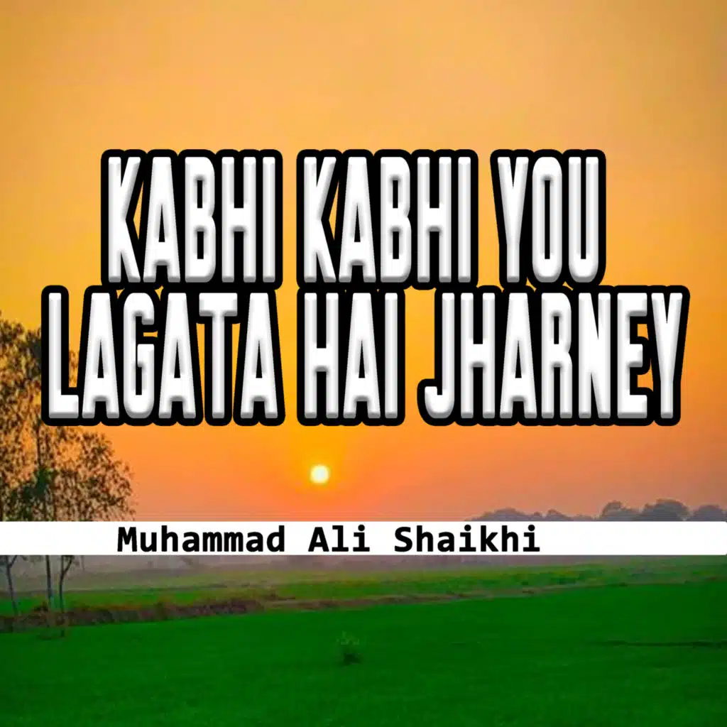 Muhammad Ali Shaikhi