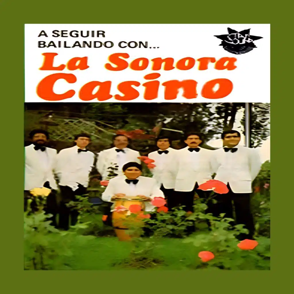 A Seguir Bailando Con