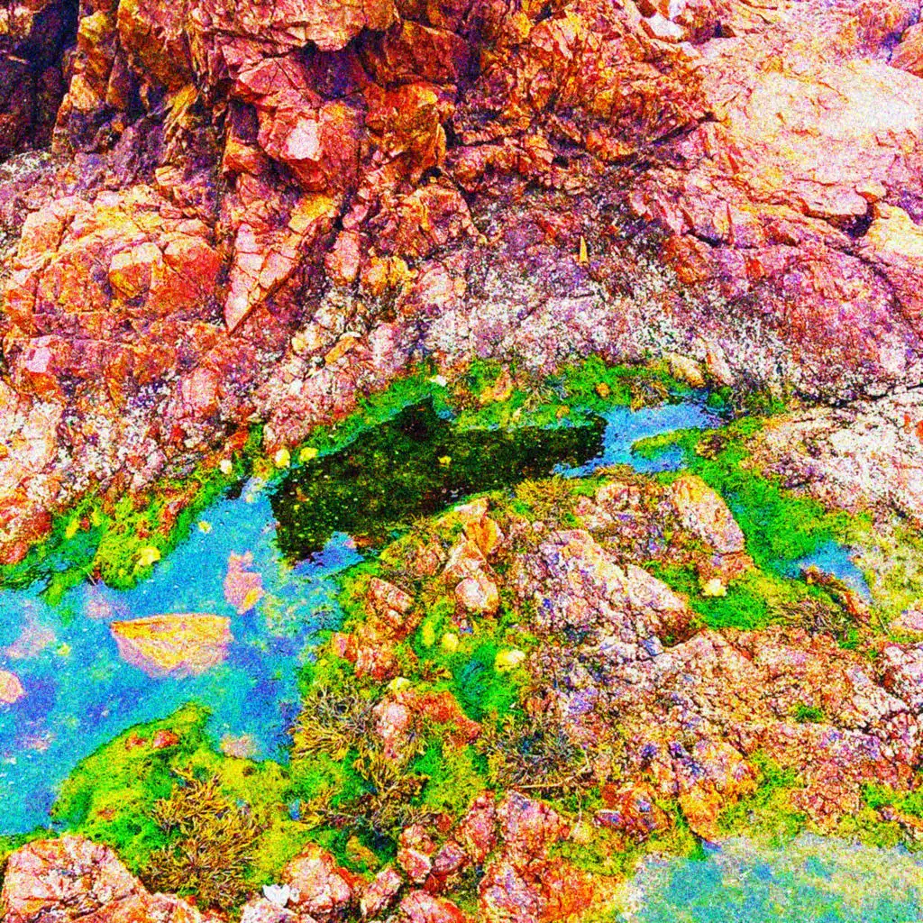 короткие стихи, как моя жизнь