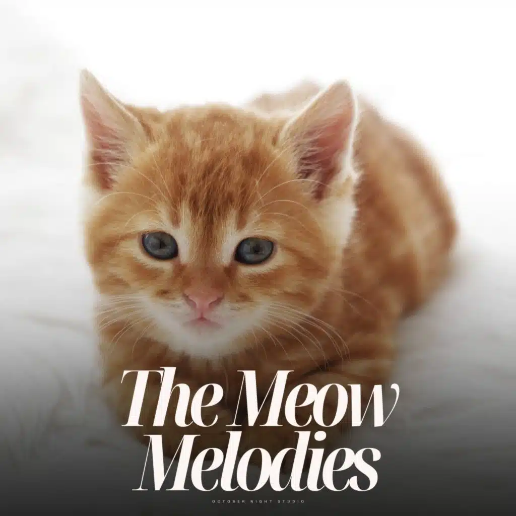 The Meow Melodies