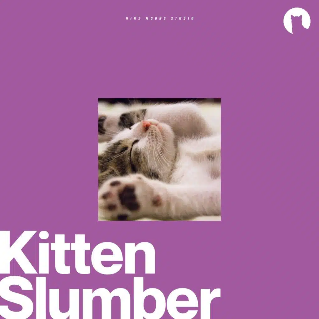 Kitten Slumber