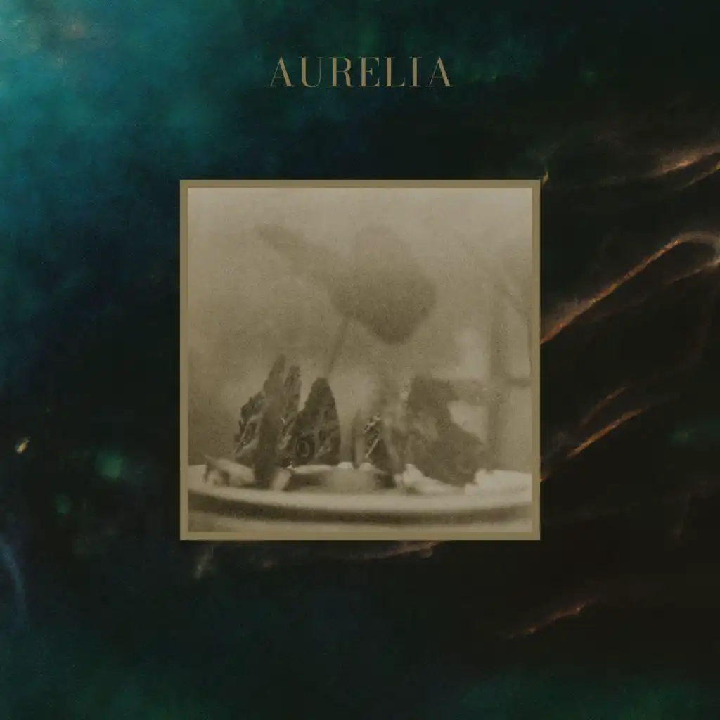 Aurelia
