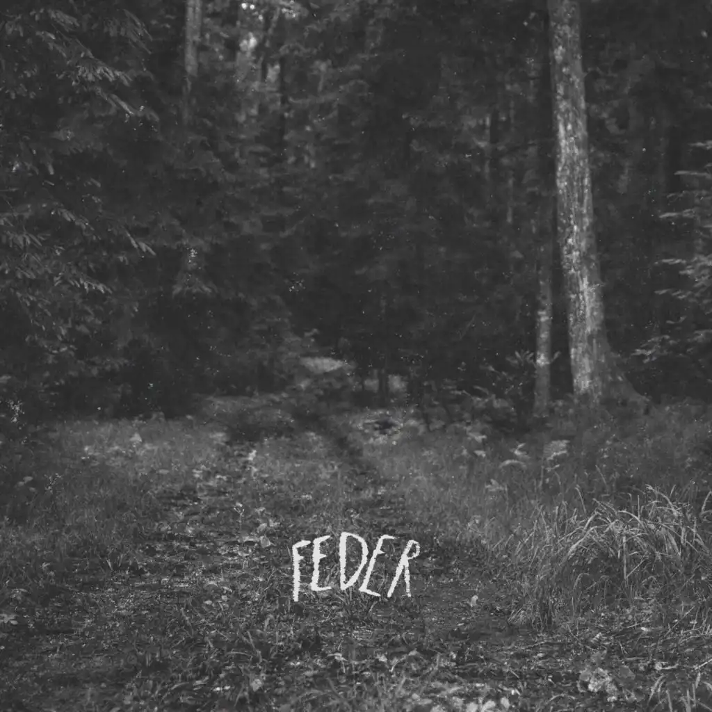 Feder