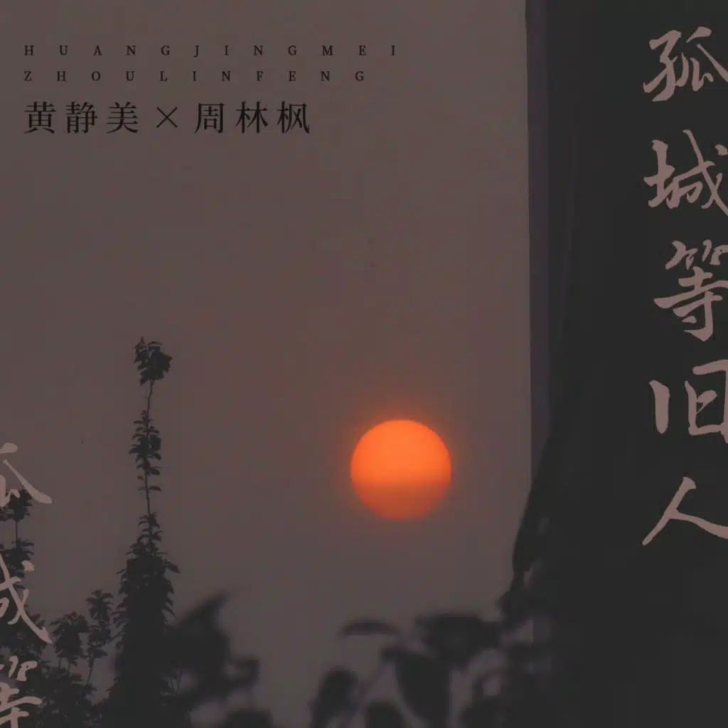 黄静美 & 周林枫