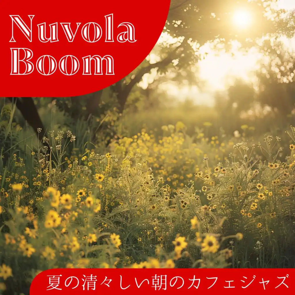 Nuvola Boom