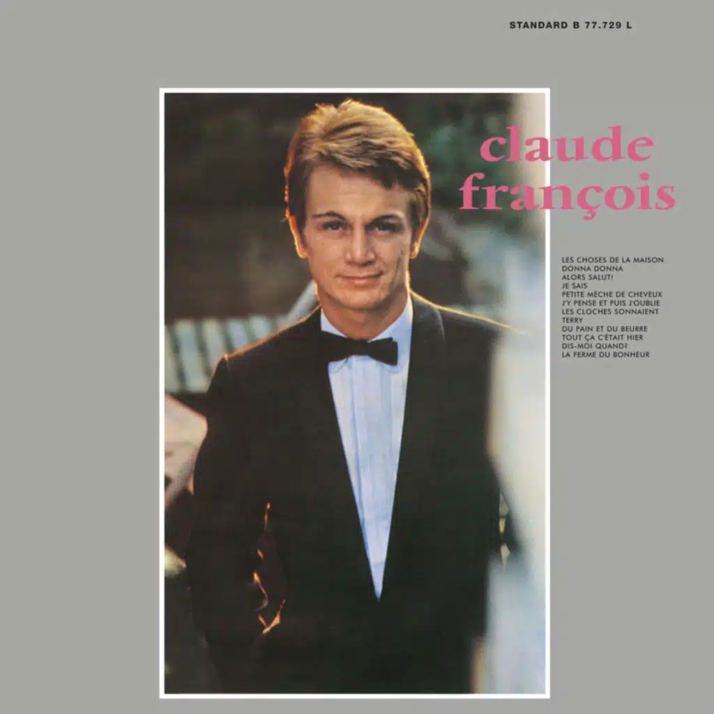 Petite mèche de cheveux