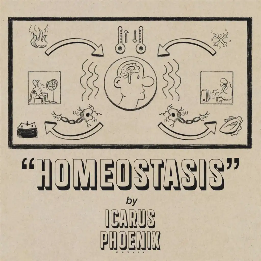 Homeostasis