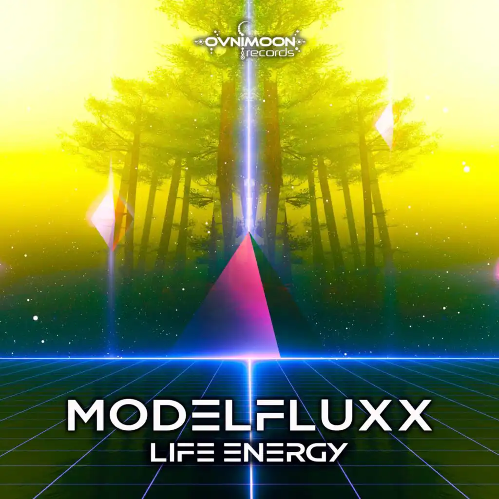 ModelFluxX