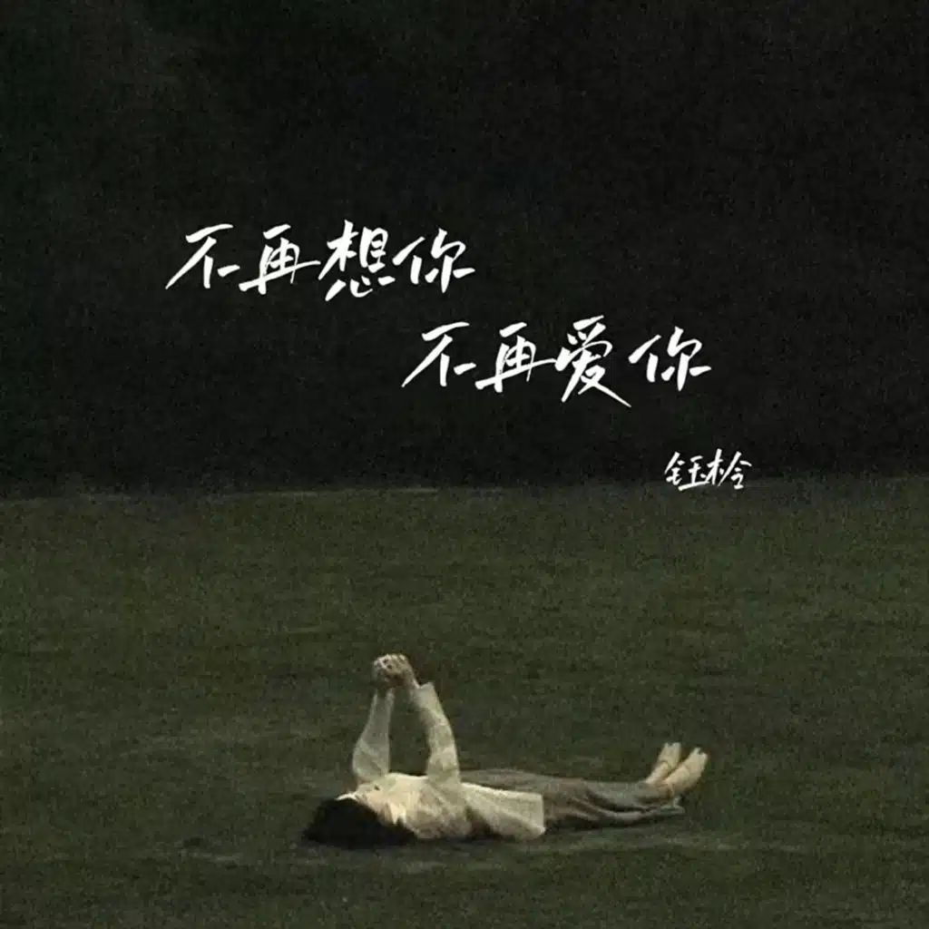 不再想你不再爱你