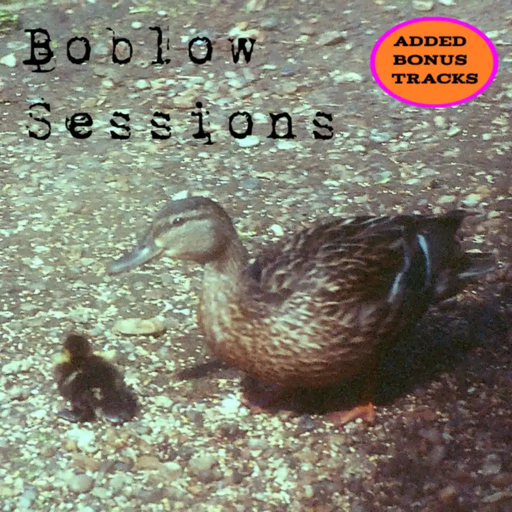 Boblow Sessions