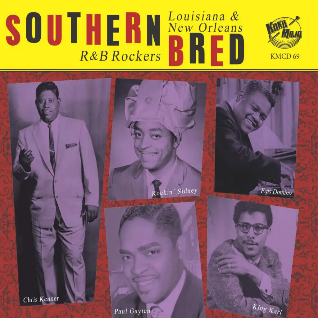 Southern Bred, Vol. 19 - Louisiana and New Orleans R&B Rockers - You Better Believe It