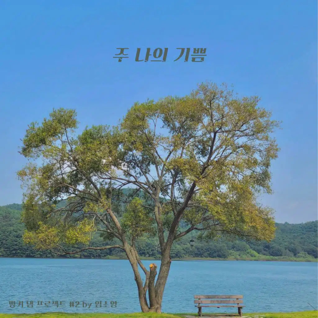 Lim Soyoung