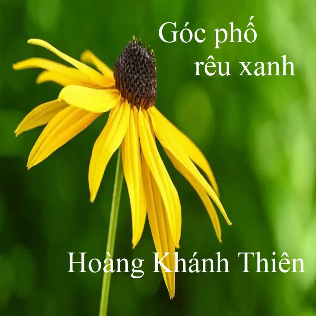 Hoàng Khánh Thiên