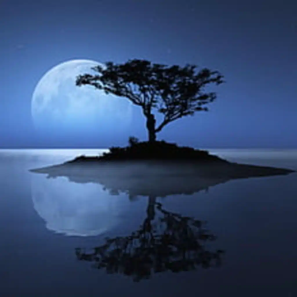 قالت مرضت فعدتها فتبرمت 