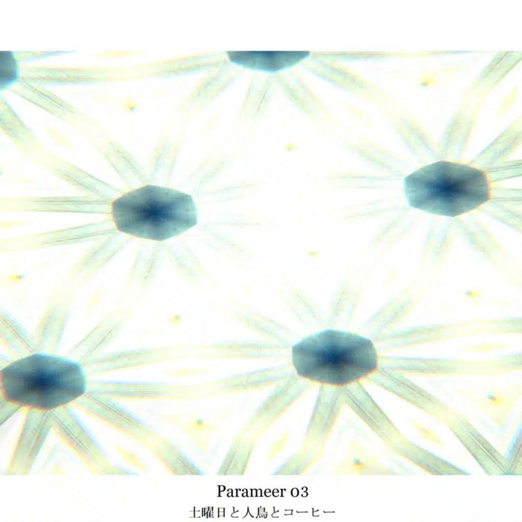 Parameer 03