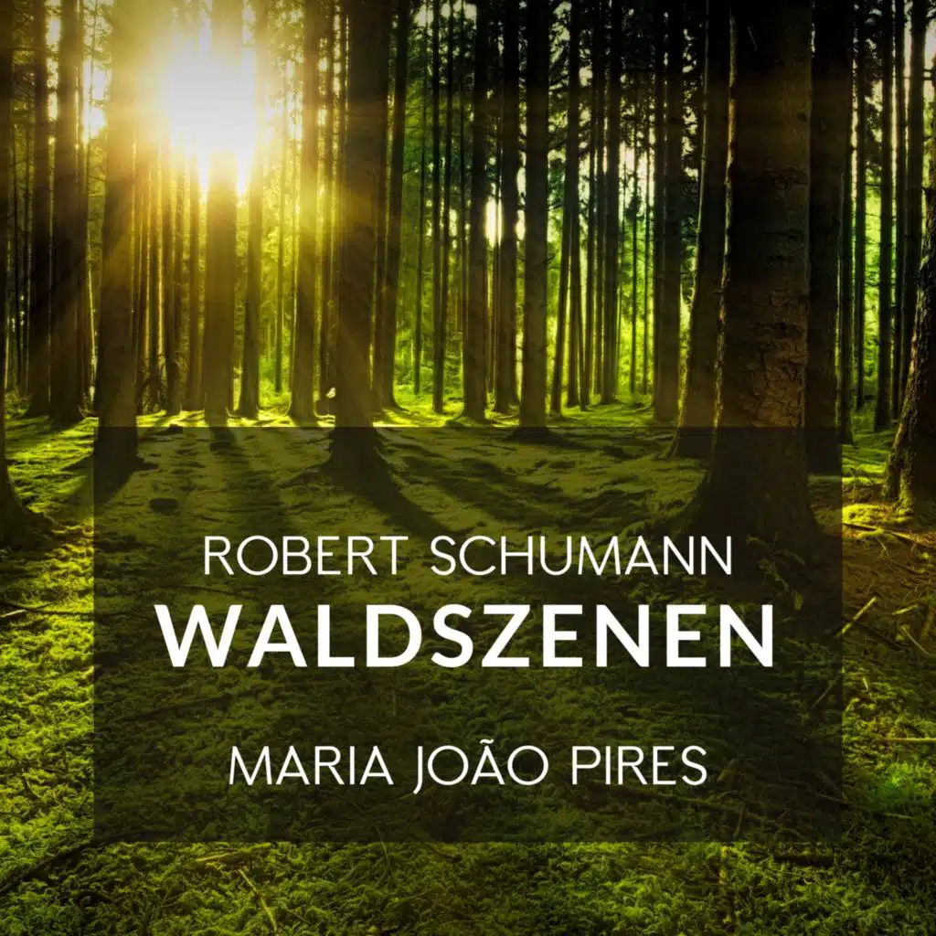 Schumann: Waldszenen